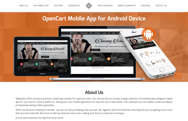 Website Design