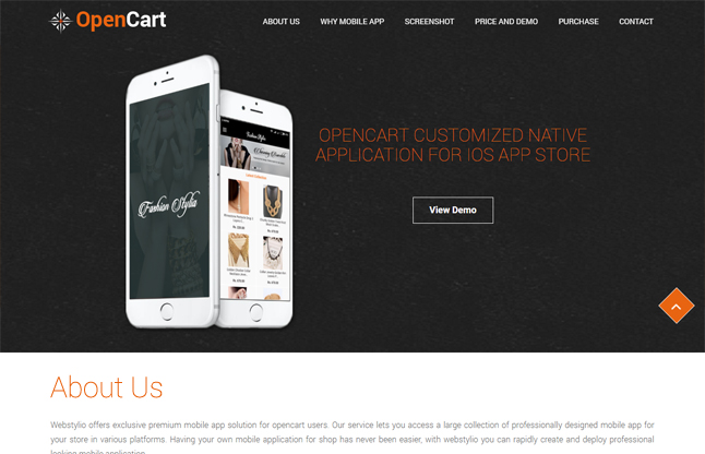 Website Design